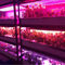 گلخانه SMD3535 قرمز 660nm 665nm LED تراشه نور رشد